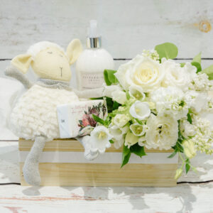 Little Wren – New Baby Hamper