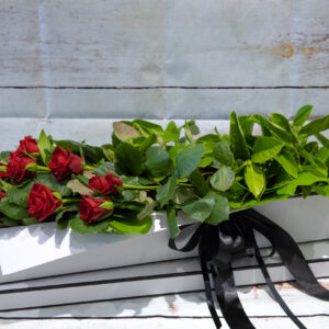 Firetail – Rose Presentation Box