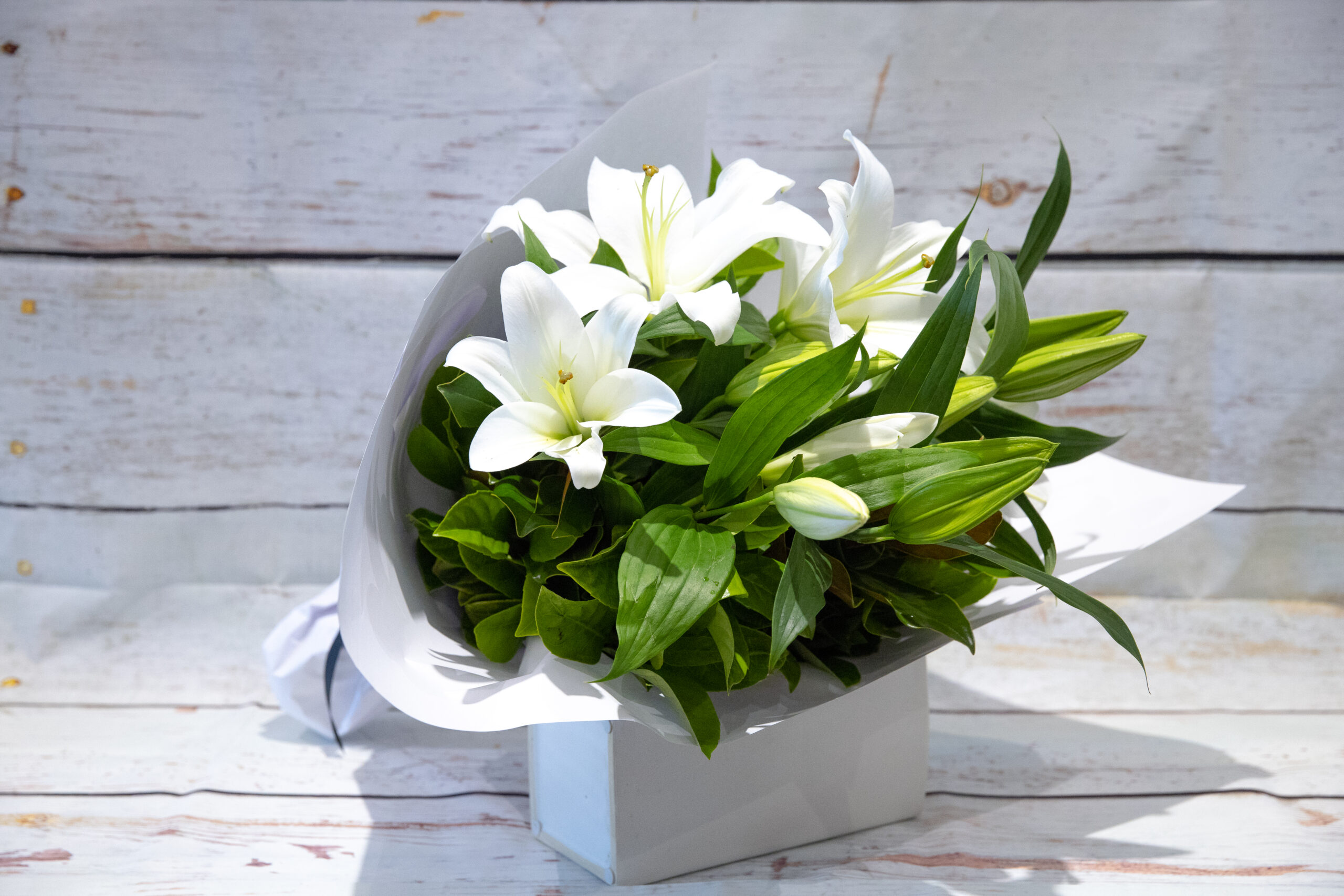 Graceful Lilies