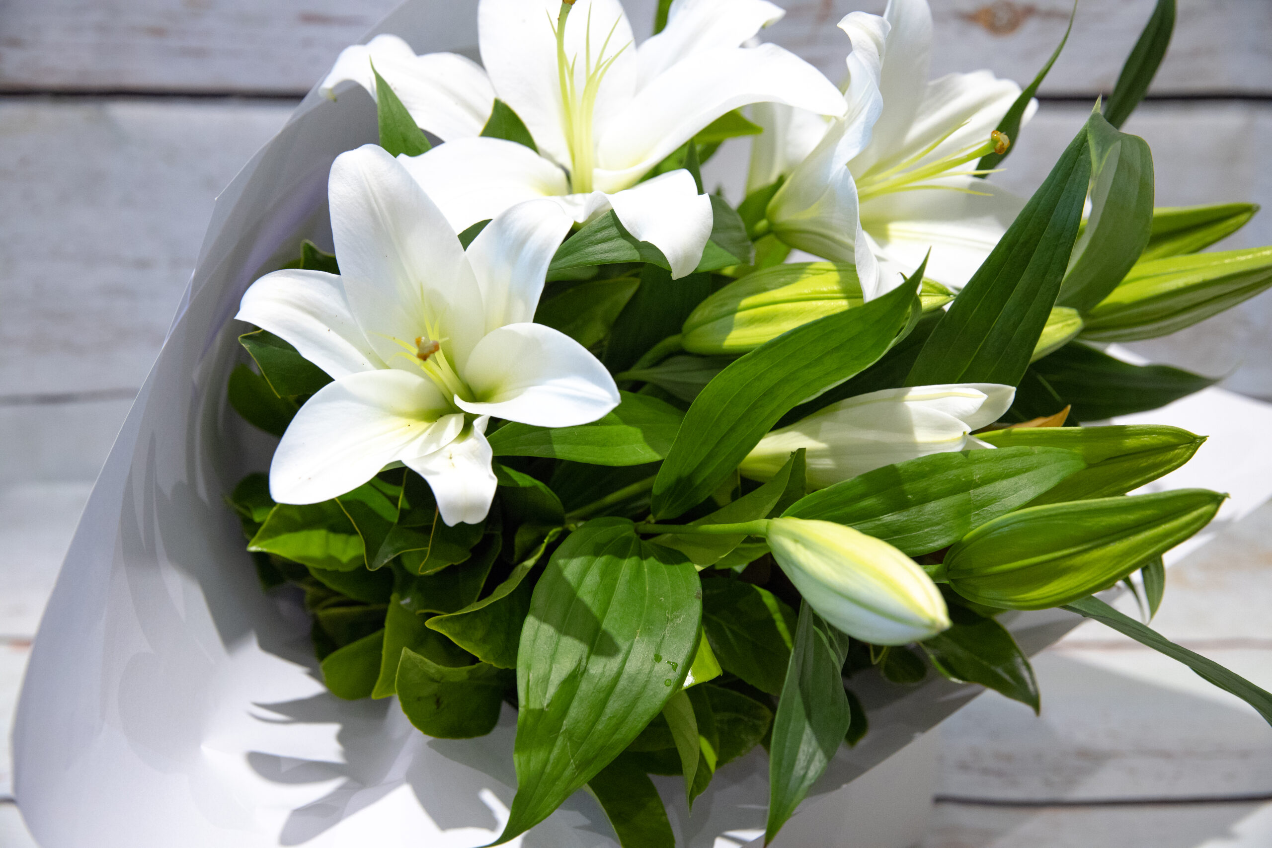Graceful Lilies