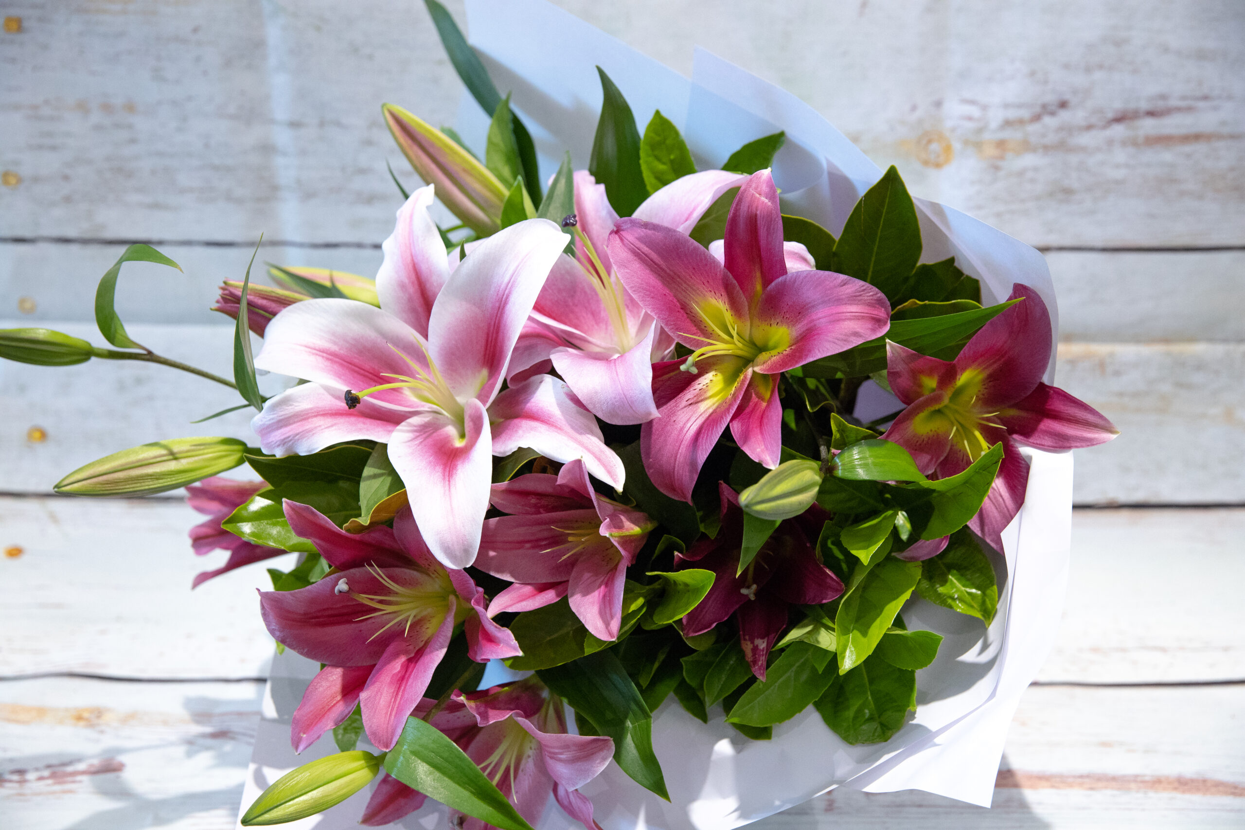 Graceful Lilies