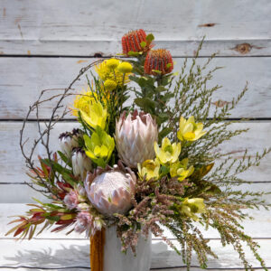 Lyrebird – Native Arrangement