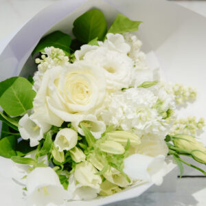 Snow Gum – White Posy
