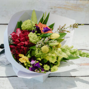 Bottlebrush – Bright Posy