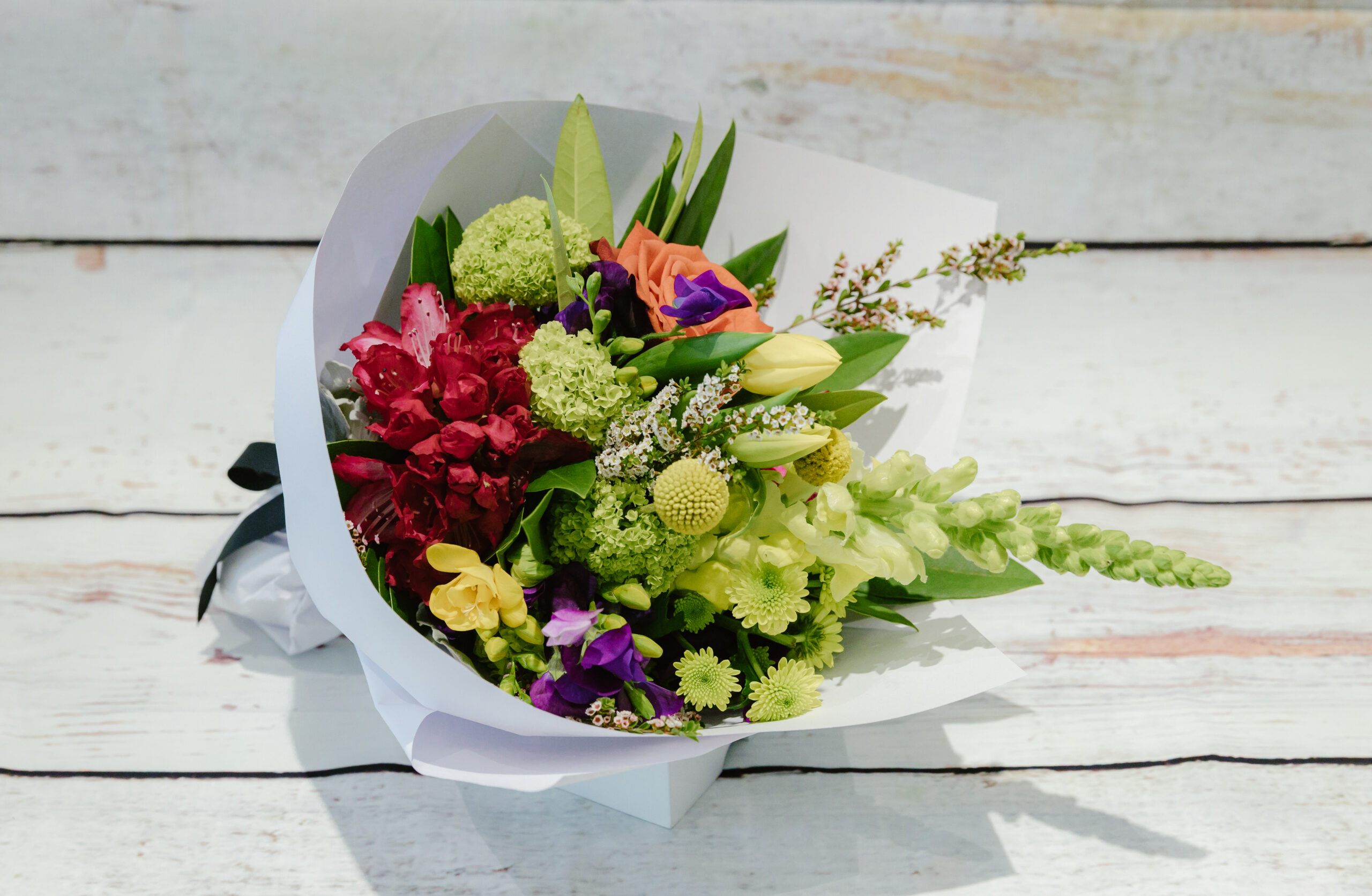 Bottlebrush – Bright Posy