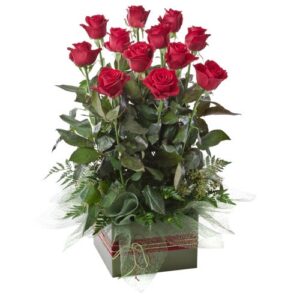 King Parrot – Rose Box Arrangement