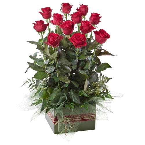 King Parrot – Rose Box Arrangement