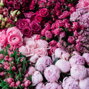 Laura's Pick – Florist's Choice Bouquet